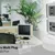 huge_700x420__6056.png